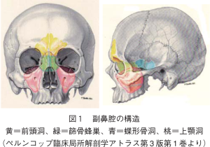 head